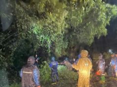 Tìm người biết thông tin hoặc có hình ảnh camera về vụ tai nạn giao thông