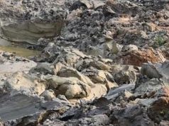 Tìm người biết việc liên quan đến vụ tai nạn giao thông