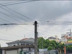 Xử lý nghiêm cá nhân, tổ chức liên quan tới vụ tai nạn liên hoàn ở Hoài Đức