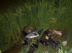 Danh tính tài xế gây tai nạn chết người, bỏ trốn ở Bắc Giang