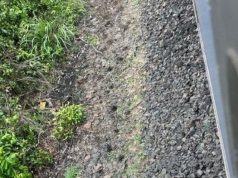 Bộ Xây dựng chỉ đạo nóng sau vụ tai nạn đường sắt nghiêm trọng tại Phú Yên